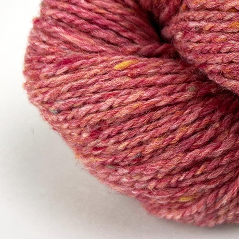Dagmar Rosa - 889305 ruta